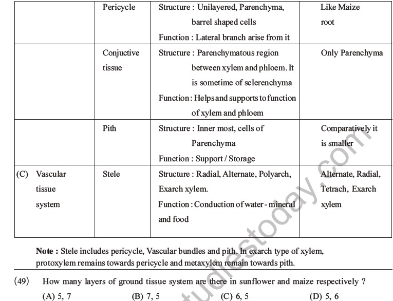 NEET Biology Plant Anatomy Plant Tissues MCQs Set A, Multiple Choice ...